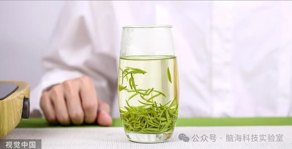 往期精彩|Nature子刊：新发现！老年人每天喝超过三杯的绿茶，或可预防痴呆风险