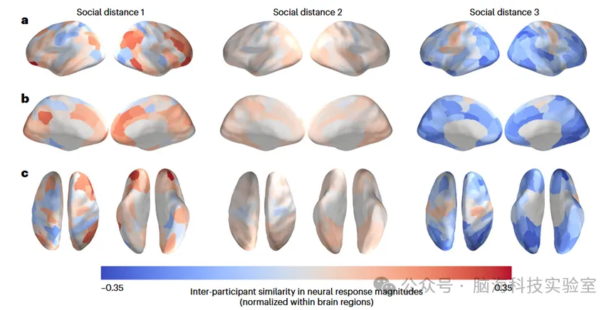 Nat. Hum. Behav：神经相似性预测陌生人是否成为朋友