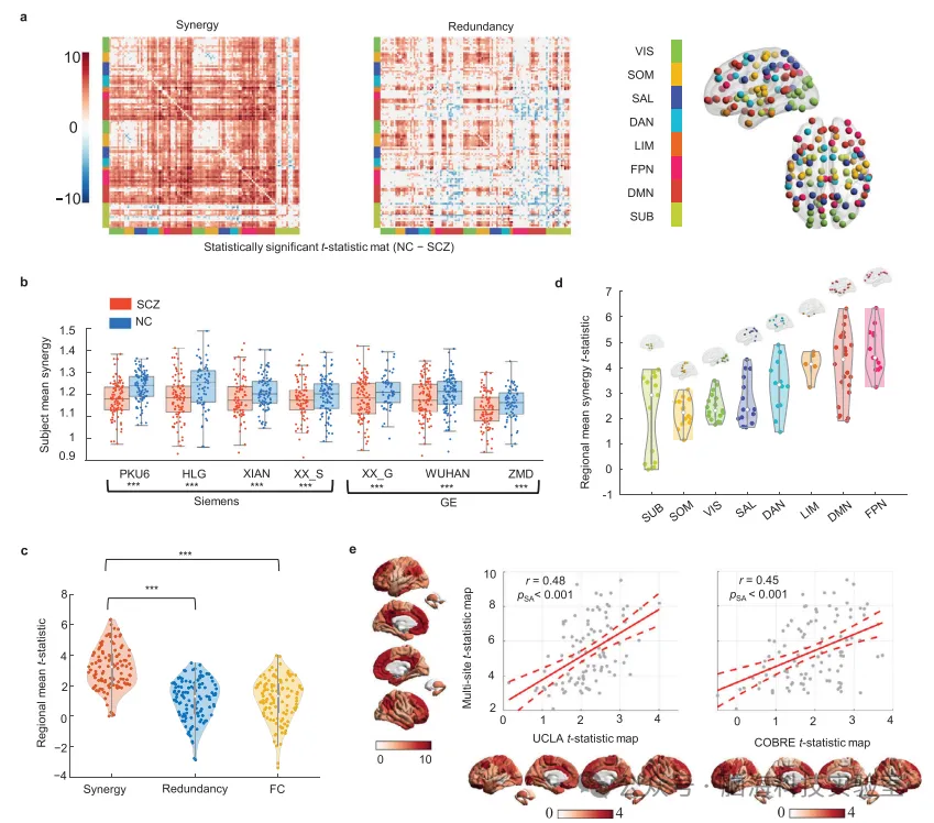 往期精彩|Adv. Sci.：在精神分裂症中绘制大脑协同功能障碍图谱：理解个体差异和潜在的分子机制