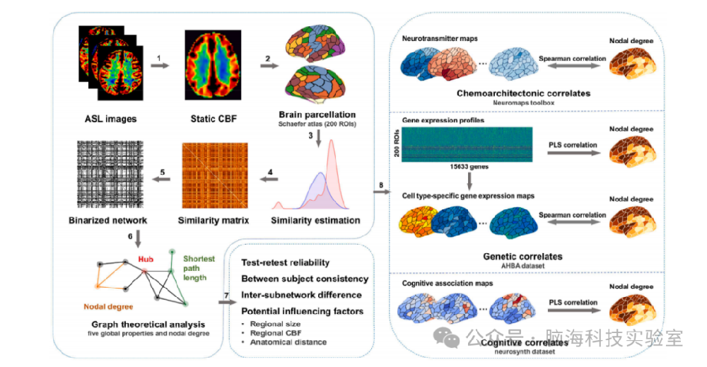 往期精彩|NeuroImage：一种基于静态脑血流的功能性脑网络新方法