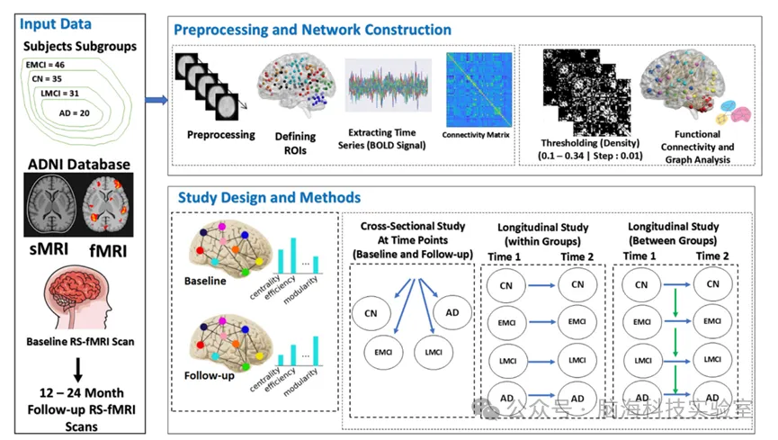 Ageing Res Rev：绘制阿尔茨海默病分期进展图：一项利用静息态fMRI和图论的综合性横断面及纵向研究