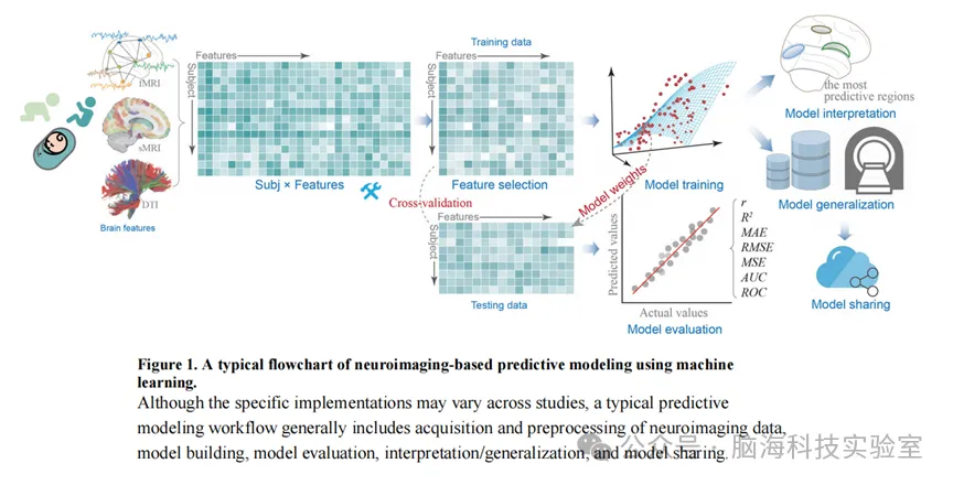 Biol Psychiatry：胎儿、婴儿和幼儿神经成像中的机器学习与预测：综述与入门