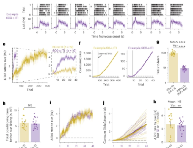Nature Neuroscience：颠覆百年学习定律，练得越少反而学得越快