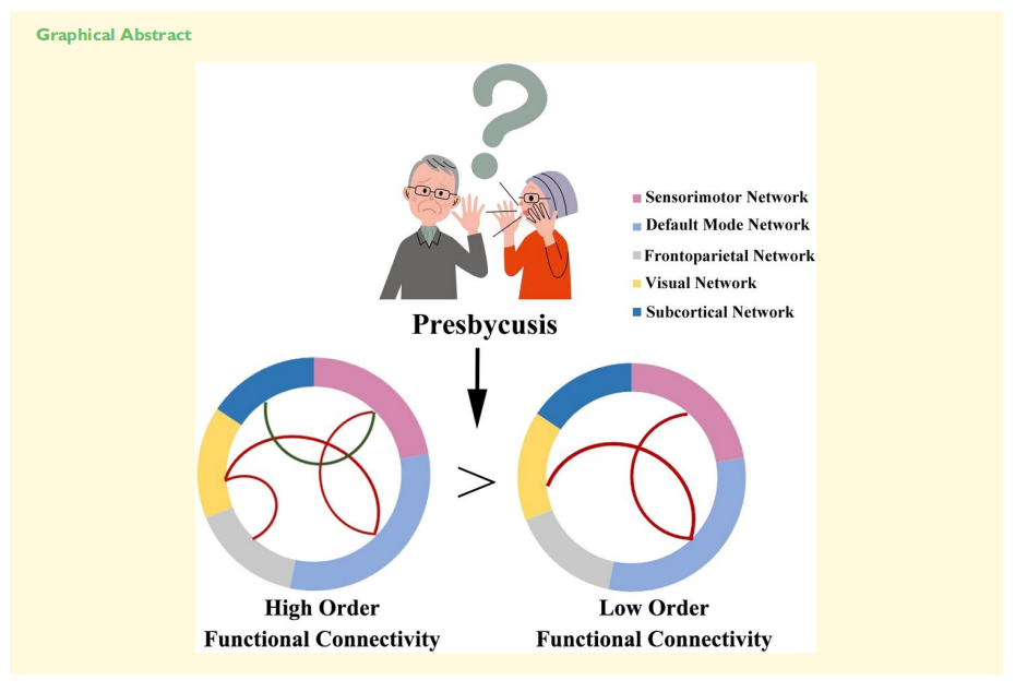 Brain. Commun.：低阶与高阶功能连接网络在老年性耳聋中的拓扑破坏