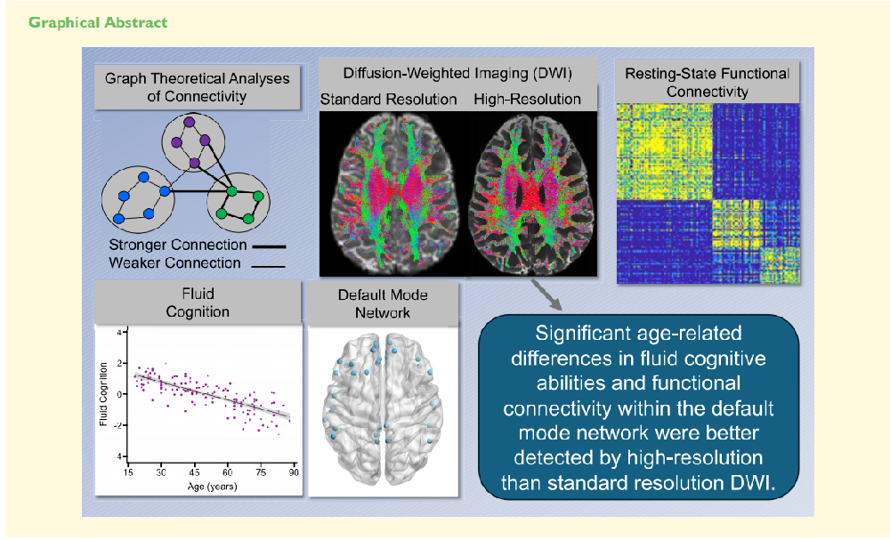 Brain. Commun.：高分辨率结构连接介导功能连接和流体认知的年龄相关差异