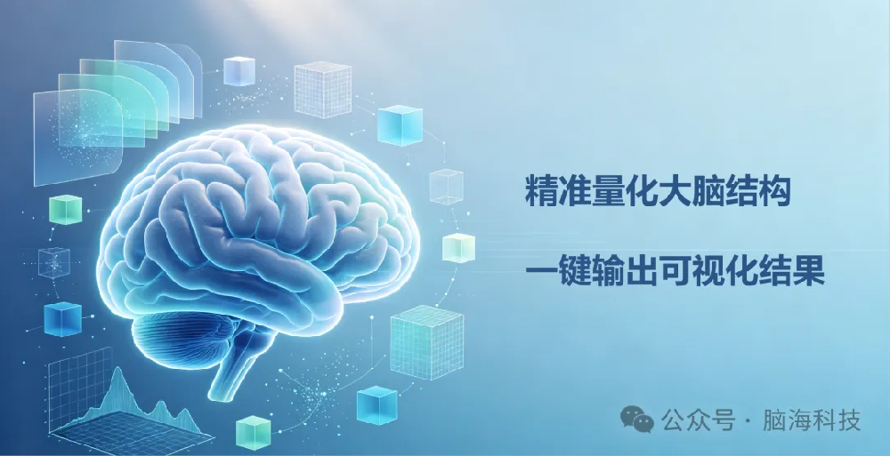 脑海科技产品介绍 | 结构磁共振（sMRI）数据分析解决方案