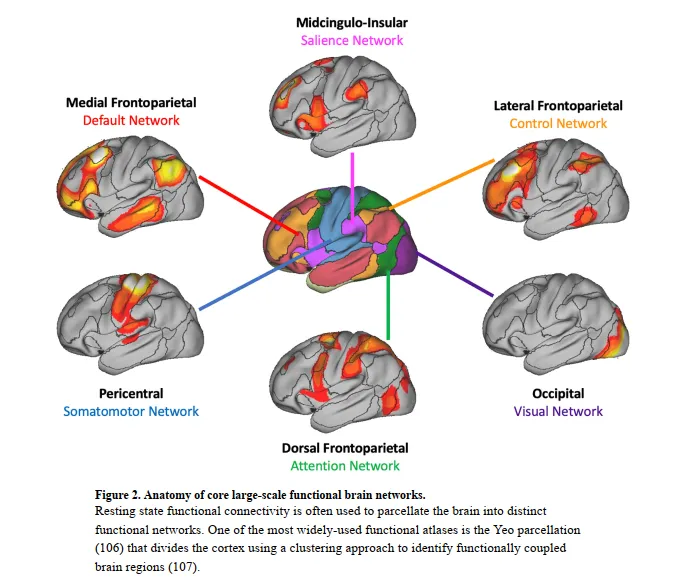 Biol Psychiatry: 发育队列中脑-行为关系的任务态和静息态功能磁共振成像建模