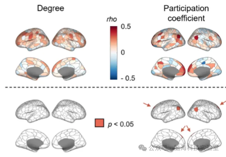 Commun Biol： EEG+fMRI首证智力不是固定值，而是多尺度动态交互