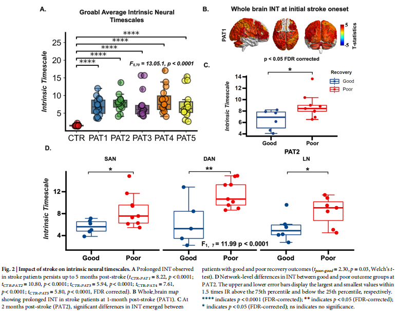 npj Syst. Biol. Appl.：脑卒中的临界性与内在时间尺度的增加