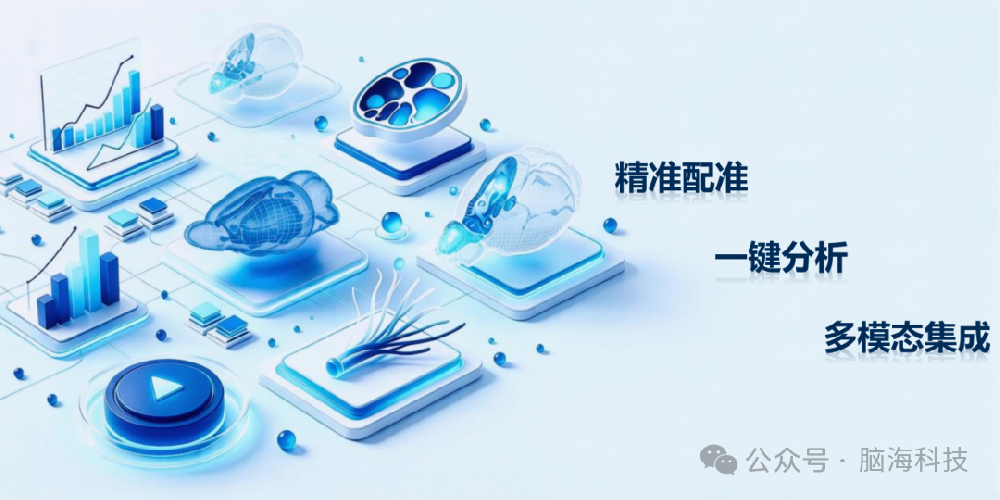 脑海科技产品介绍 | 啮齿类动物神经影像分析解决方案