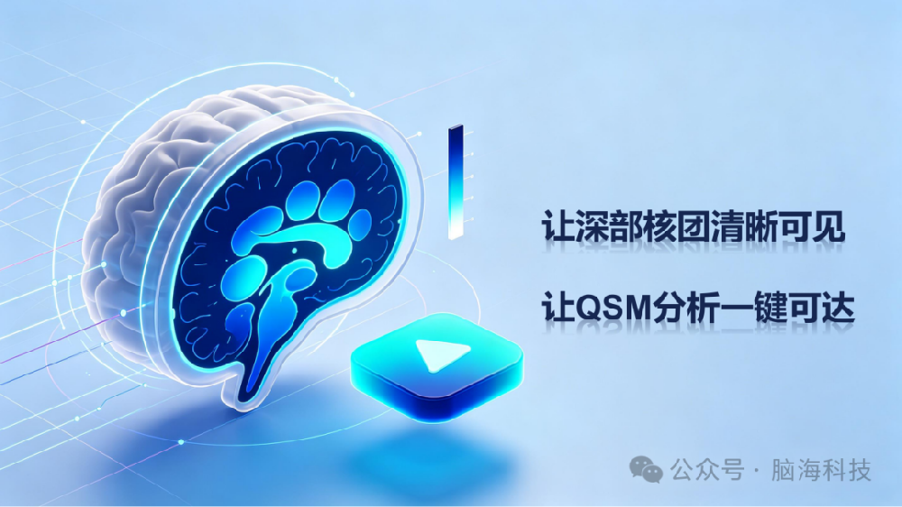 脑海科技产品介绍 | 定量磁化率（QSM）脑影像分析软件