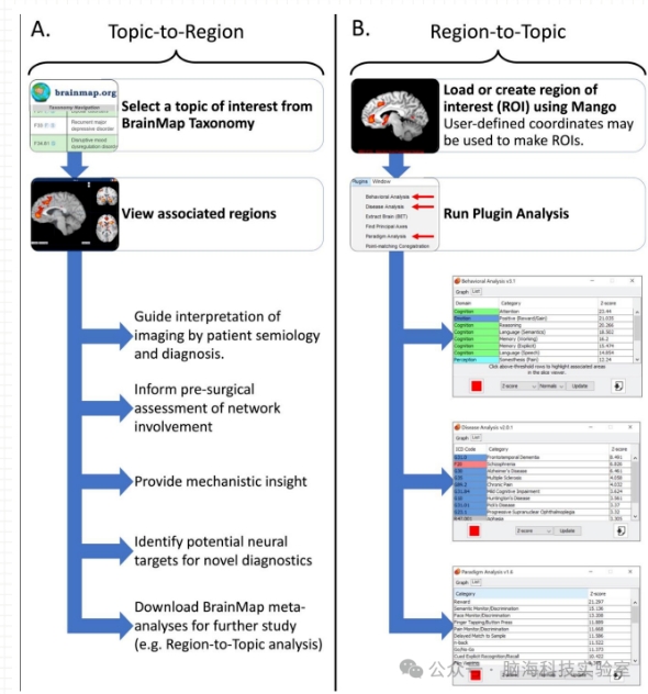 基于坐标的认知词典：BrainMap 和 Neurosynth 演示