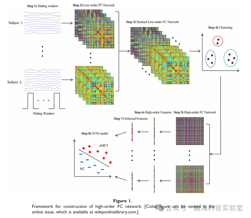 高阶功能连接分析：脑海科技多模态脑影像云平台助力临床医生探索大脑高阶特性