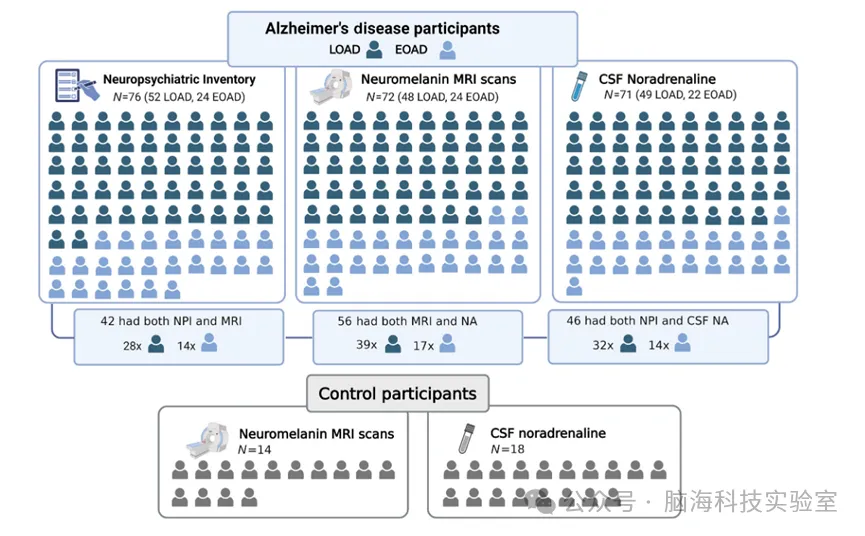 Alzheimer's & Dementia：早发性和迟发性阿尔茨海默病队列中的蓝斑完整性和神经精神症状