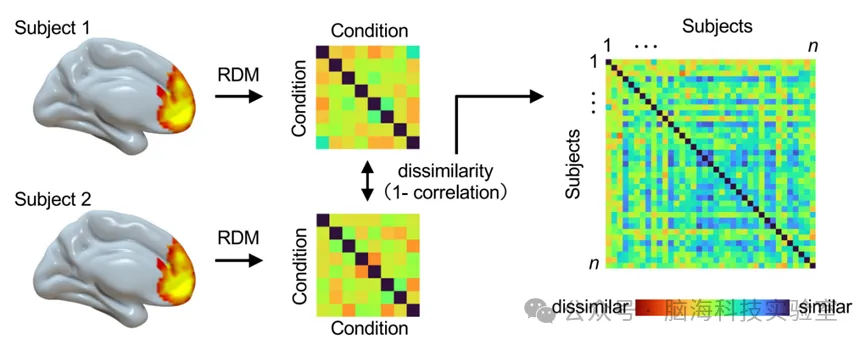 PNAS：乐观的人想象未来时脑活动高度一致