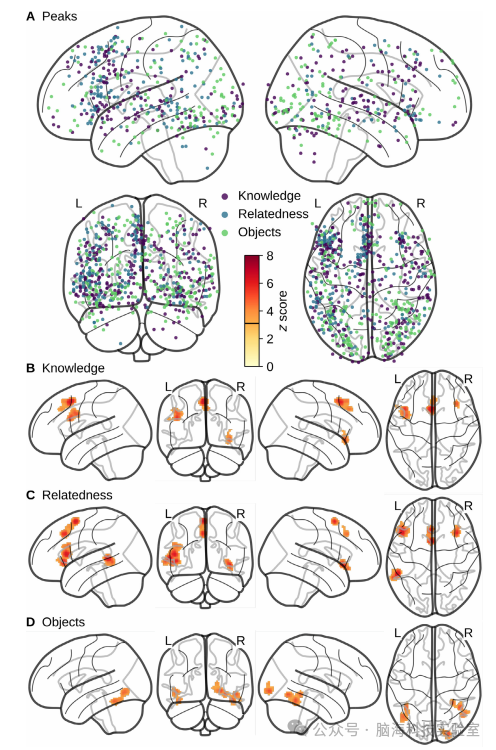往期精彩|Neuroimage：儿童语义认知功能磁共振成像研究的元分析