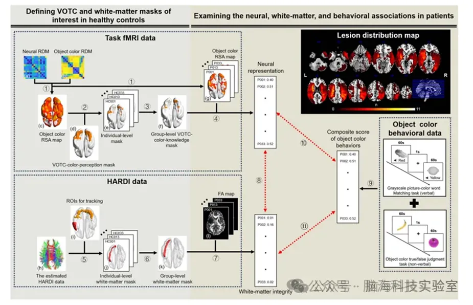 语言合集 | 以往高分文献分析，揭示语言研究热点