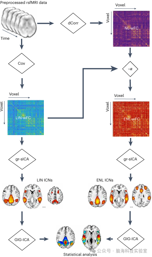 往期精彩|Nature子刊：fMRI识别精神障碍特征的新方法