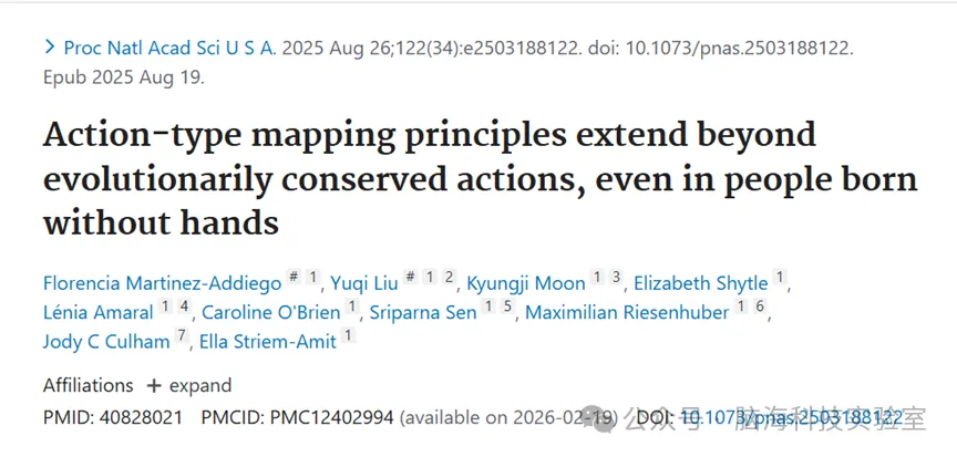 PNAS:人脑如何构建工具使用能力