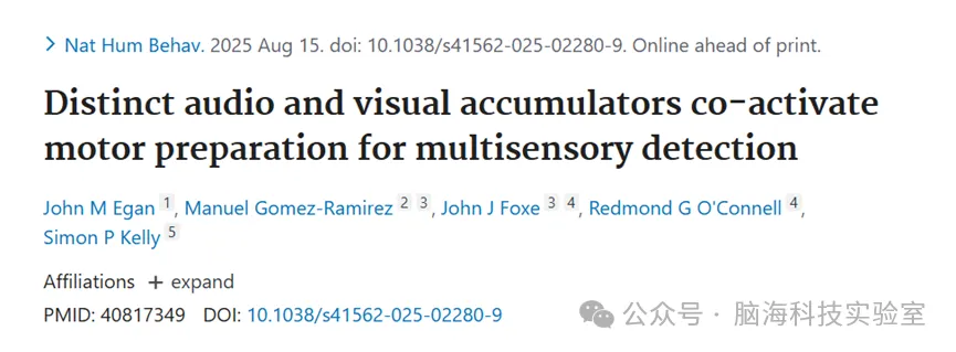 Nature 子刊:大脑整合视听信息以优化决策速度与认知功能