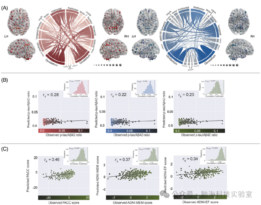 往期精彩|Alzheimers Dement:阿尔茨海默病病理学的全脑功能连接模型