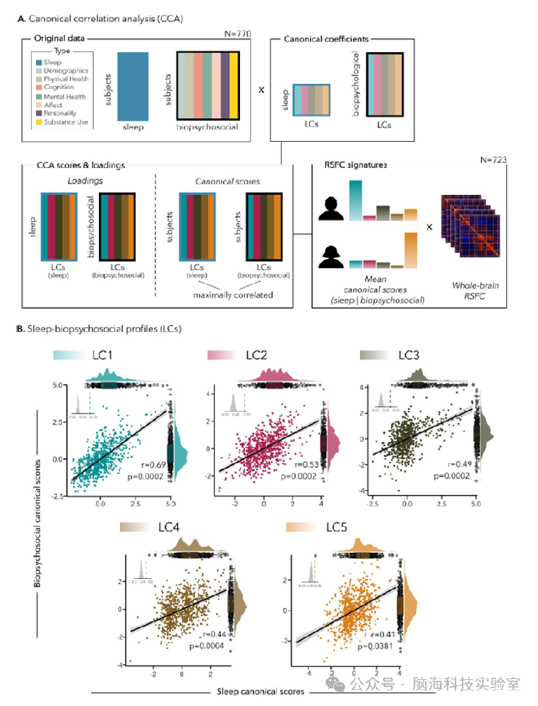 PLOS Biology：五种睡眠类型揭示：你的大脑连接方式如何反映你的休息状态