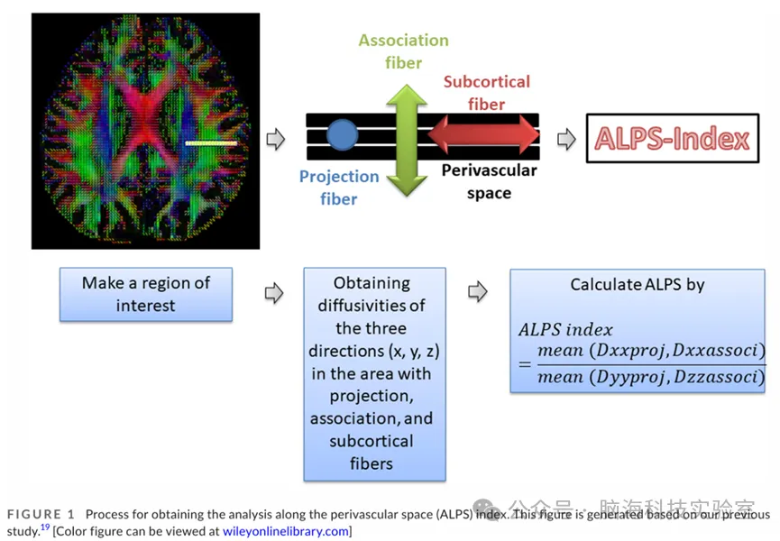 Headache：偏头痛患者的正常类淋巴系统功能：一项初步研究