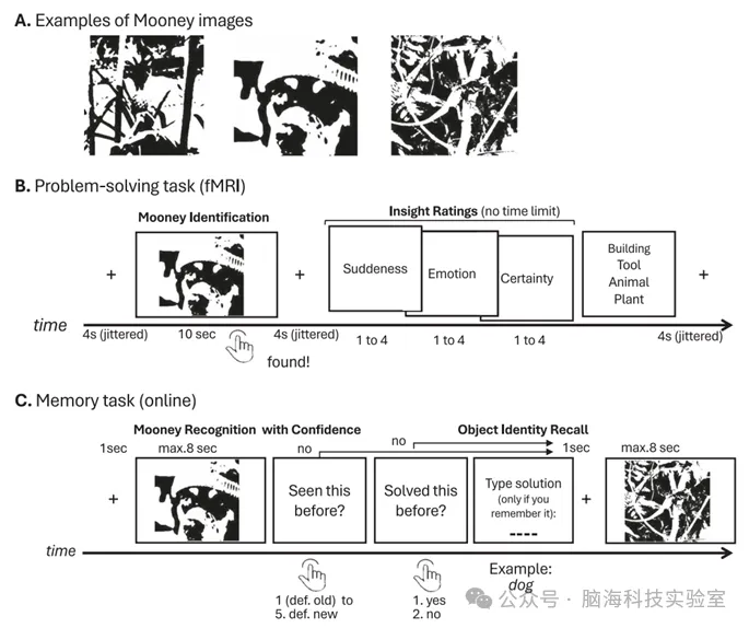 往期精彩|Nature子刊:脑成像揭示“顿悟”的神经机制