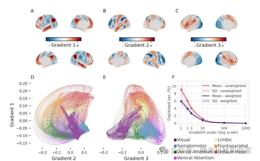 往期精彩|Hum Brain Mapp:通过降维和图论分析了解功能图谱与智力之间的联系
