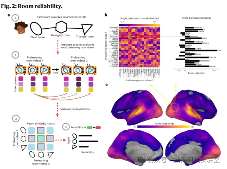 Nat. Hum. Behav.:可靠的空间神经表征可作为有效的记忆支架