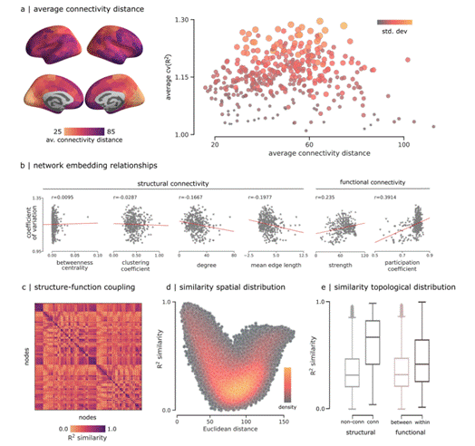 往期精彩|Commun. Biol.：脑网络中基于时间序列的动态结构-功能耦合研究