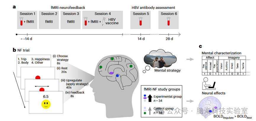 Nature子刊:新发现!训练大脑积极思考能增强免疫反应