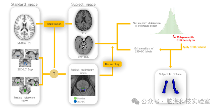 往期精彩|Alzheimer's & Dementia:早发性和迟发性阿尔茨海默病队列中的蓝斑完整性和神经精神症状