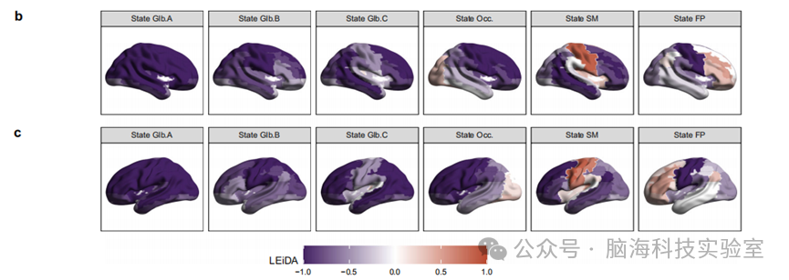 往期精彩|Nat. Commun.：新生儿大脑的“动态连接”模式：早产儿与足月儿的差异及其对早期发育的影响