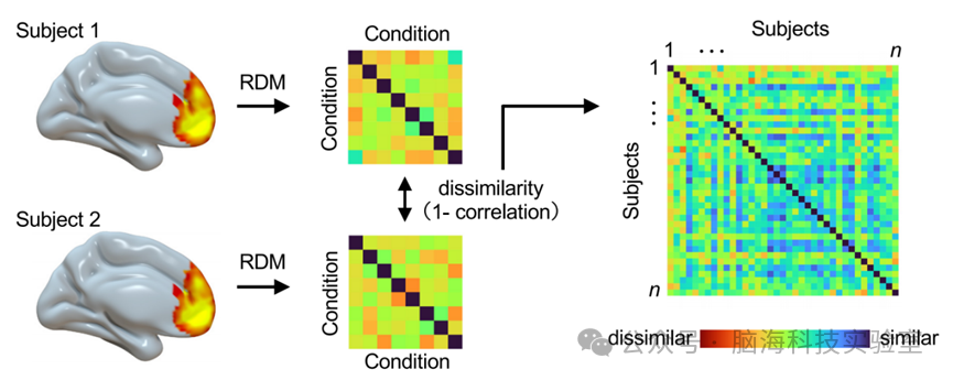 往期精彩|PNAS:乐观的人想象未来时脑活动高度一致