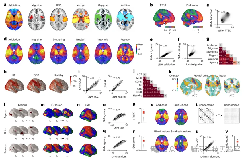 Nature Neuroscience：探讨病变网络映射的方法论基础