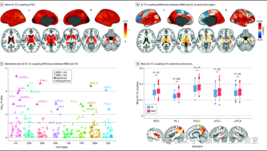 往期精彩|抑郁合集一 | 以往高分文献分析，揭示抑郁研究热点