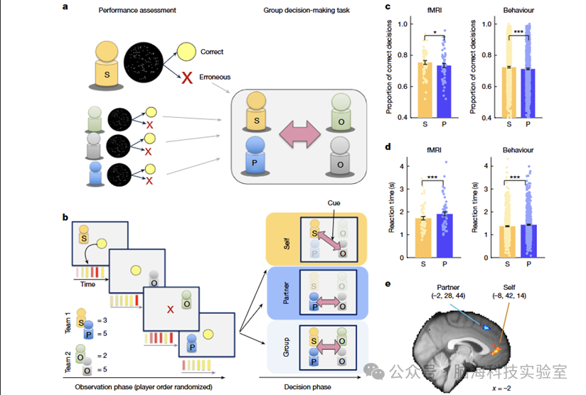 Nature：背侧额叶皮层复杂社会决策的基础功能