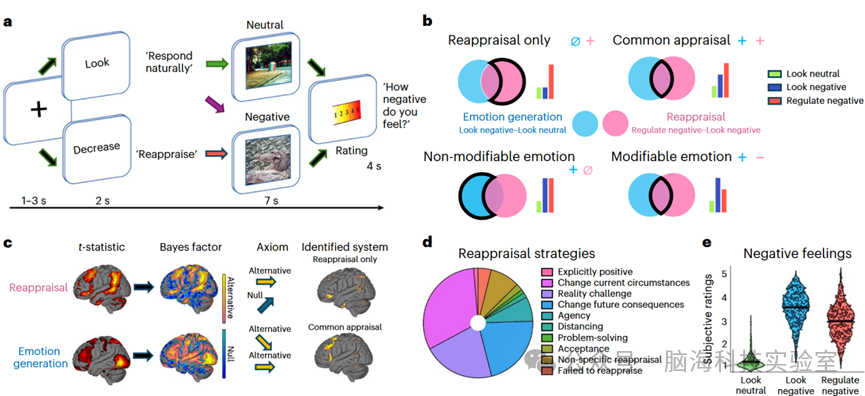 往期精彩|Nature子刊：一种利用贝叶斯因子解构情绪调节大脑基础的系统识别方法