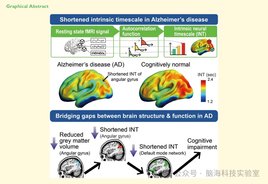 左侧角回--阿尔茨海默症默认模式网络紊乱的关键脑区--基于内在神经时间尺度的证据