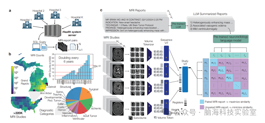 Nature子刊：新发现！AI模型能够在几秒钟内读取大脑核磁共振成像，准确率高达97.5%