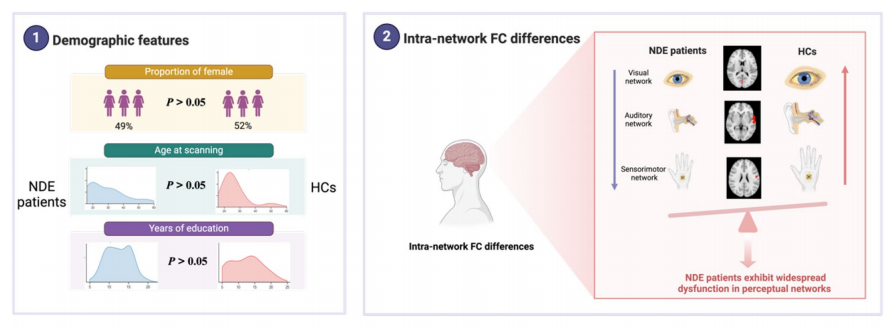 BMC Medicine：新诊断癫痫中言语流畅性缺陷背后的网络功能障碍：一项静息态功能磁共振成像功能连接研究